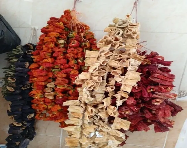 Oğuzeli Kurutmalığı